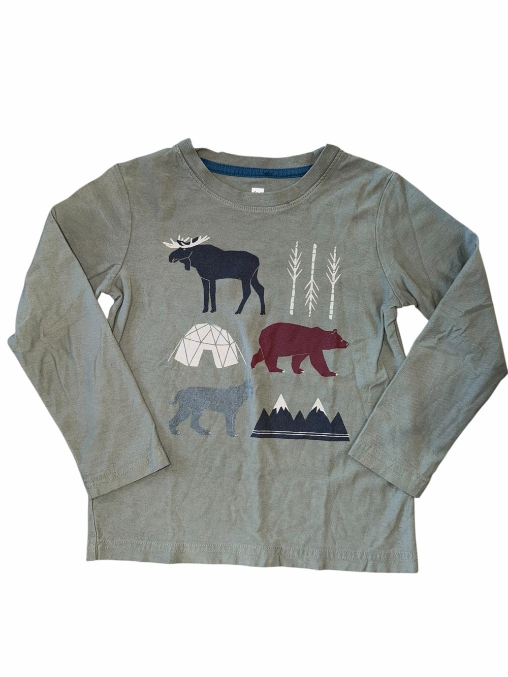 Tea Collection Boys Long-Sleeve Graphic Tee in Green, outdoor print, Size 5